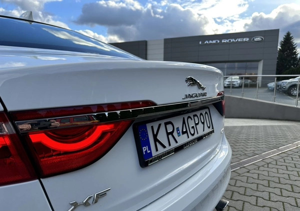 Jaguar XF cena 106000 przebieg: 58000, rok produkcji 2018 z Gorzów Śląski małe 22